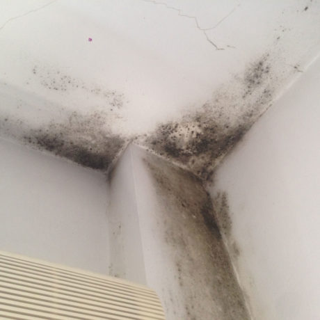 Condensación en vivienda: manchas de moho